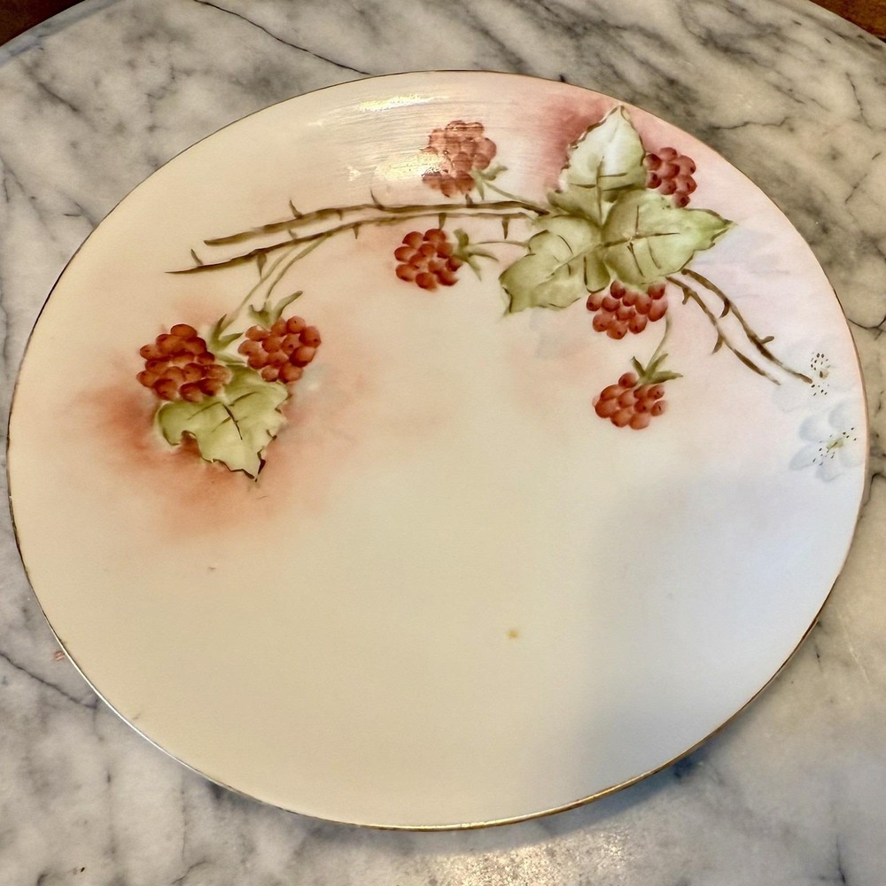 6pc VTG Antique Gotham Austria Hand Painted Signed 6" Fruit Dessertā Plates Gold - Picture 7 of 13